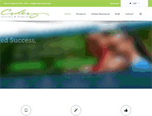 Tablet Screenshot of croleyinsurance.com